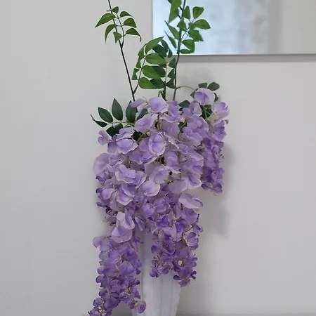 דירה La Casa Di Anna